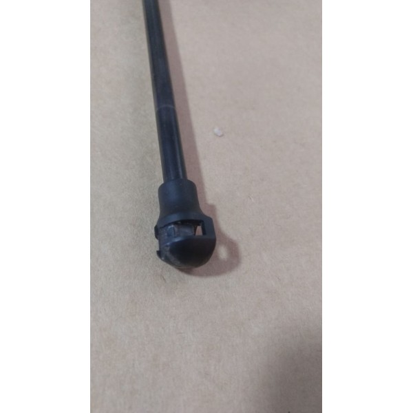 Amortecedor Tampa Traseira Peugeot 206 207