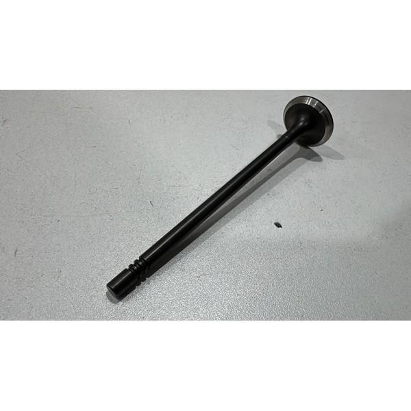 Válvula Exaustao Cruze 1.4 16v 17/22 Flex Turbo Unidade