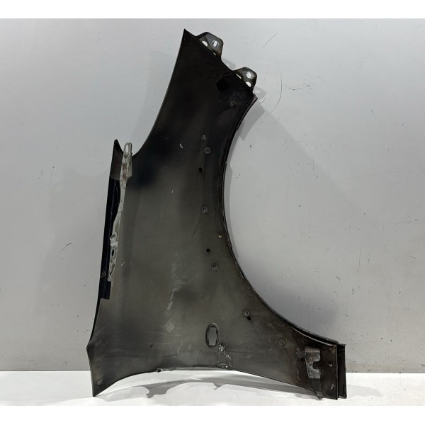 Paralama Esquerdo Peugeot 207 2009/2013 C/furo Original