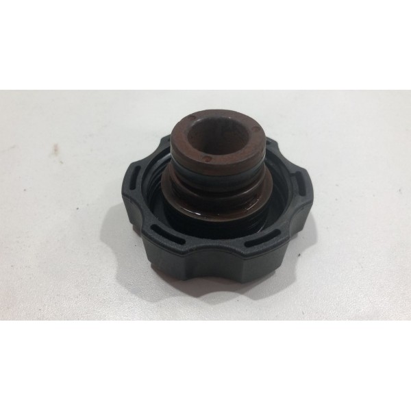 Tampa Reservatorio Radiaodor  Gm S10 2.4 2014 15042975